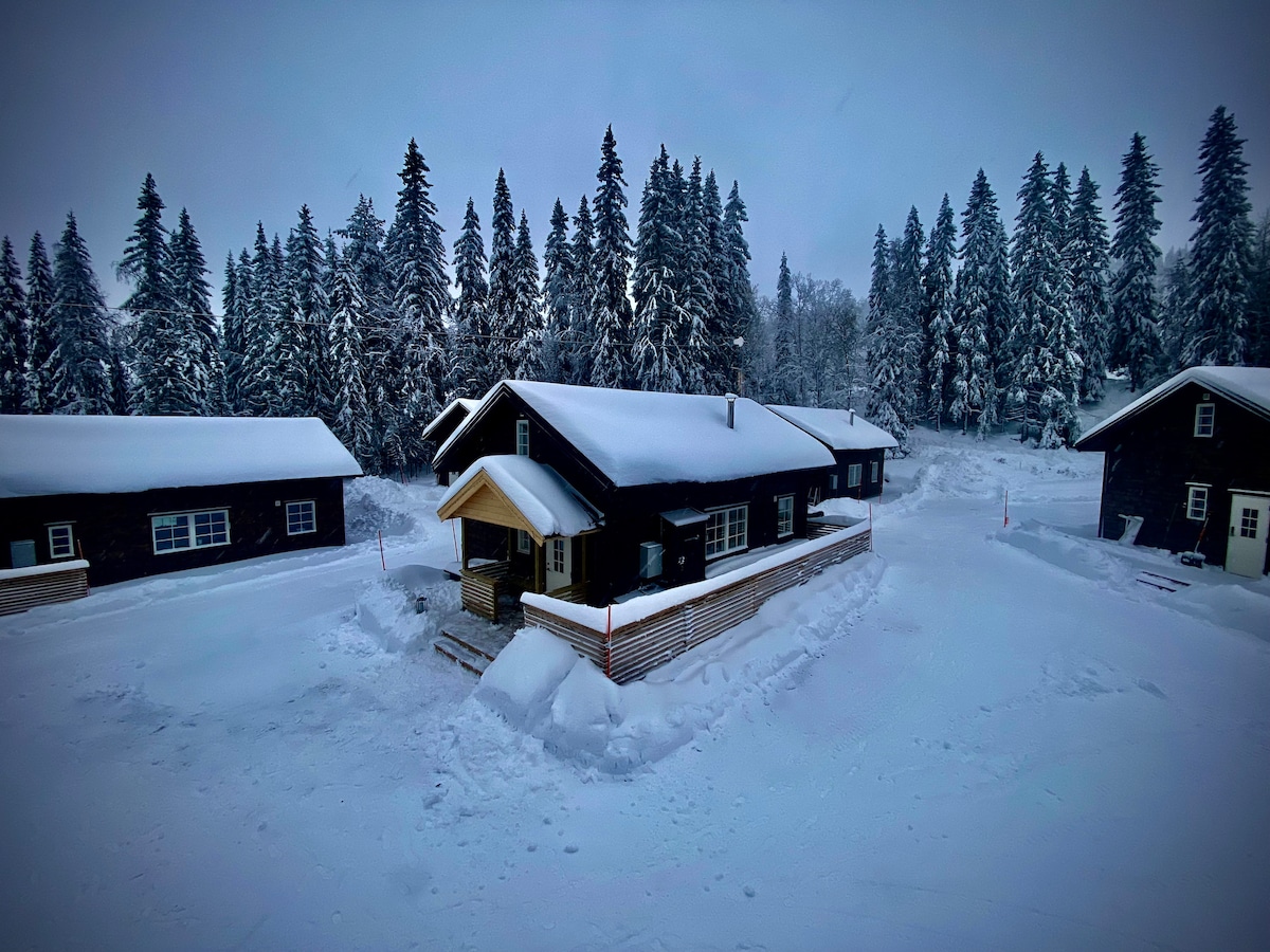 Olarsängen 129 (Higgins) · Lindvallen Ski Resort Sauna 4+1Guests Pet Friendly