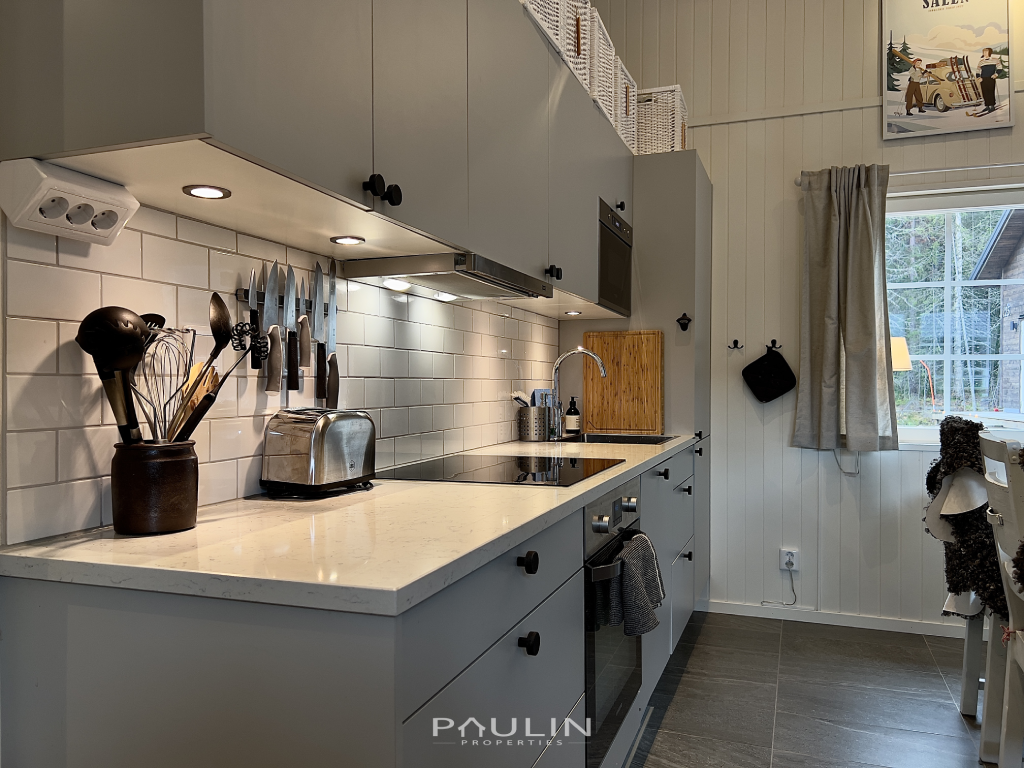 olarsngen_129_kitchen