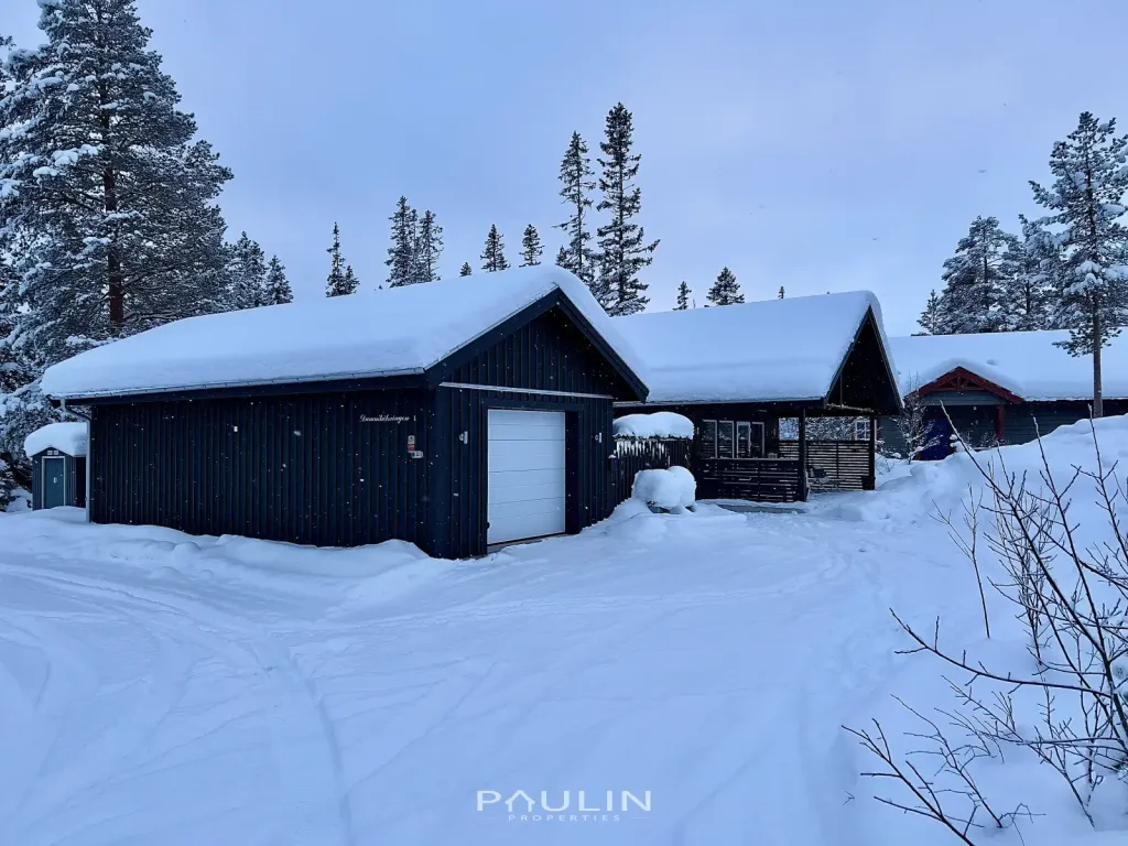 paulin-properties-dammkolsringen-1-exterior-salen-lindvallen