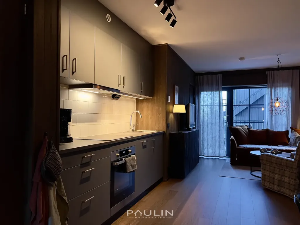 paulin-properties-fjallbacken-18e-kok-salen-lindvallen