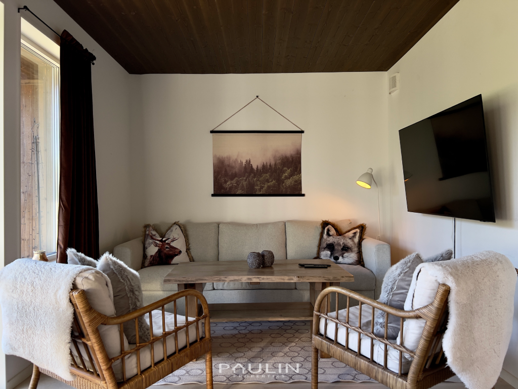 vintergatan_745c_living_room