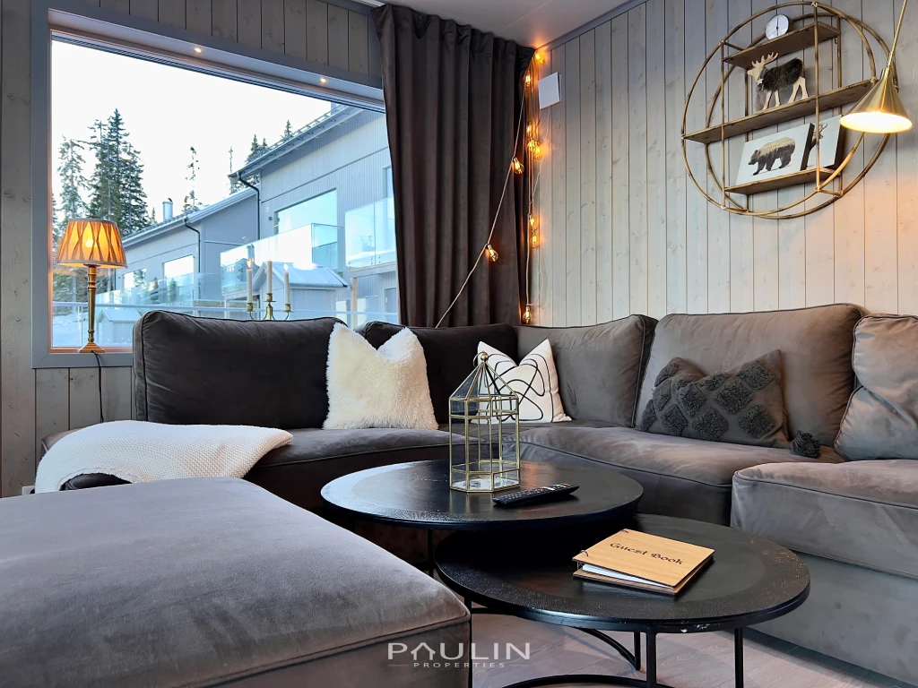 vrilvagen-32c-vardagsrum2-ski-in-salen