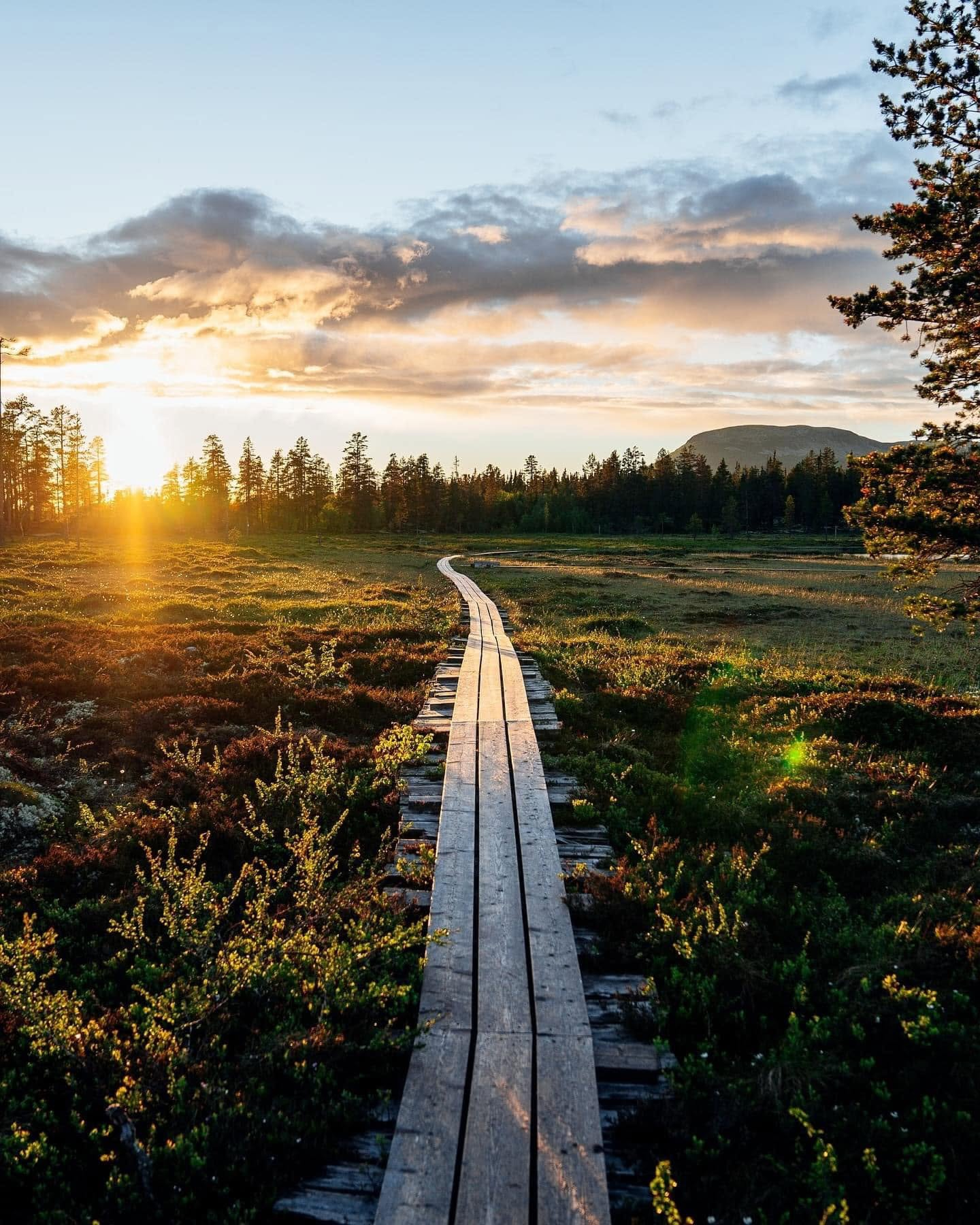 Spång genom fjällterräng i Sälen – sommarvandring i fjällen